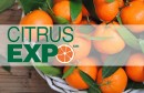 citrus_expo2017