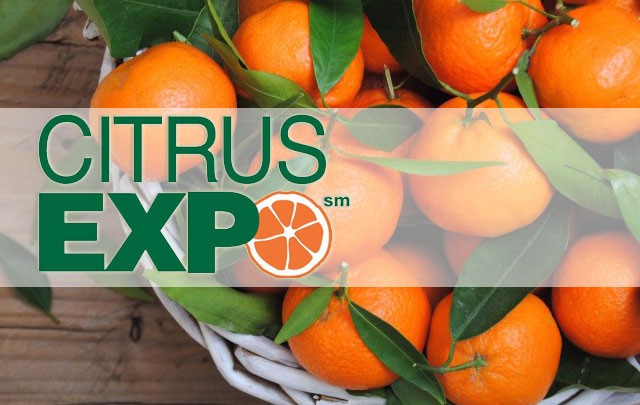 citrus_expo2017