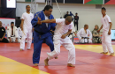 anis_judo