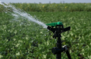 irrigation_artificial
