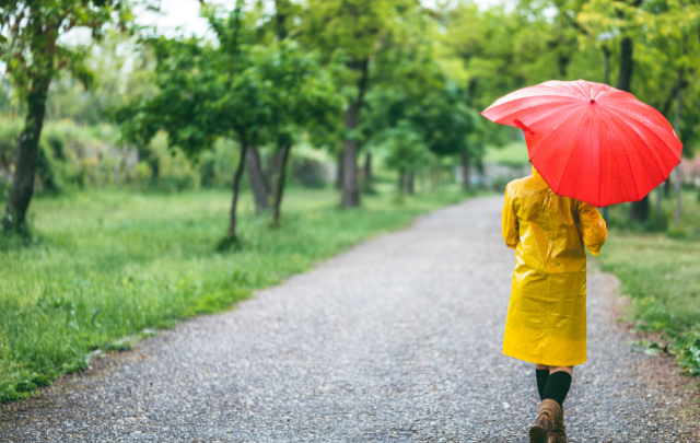 pluie (3)