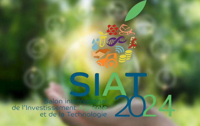 siat-2024