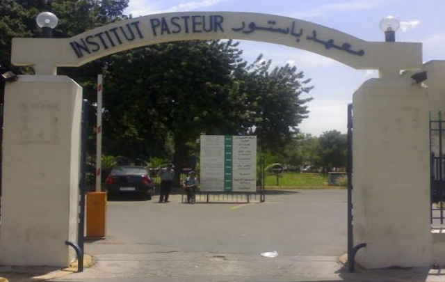 pasteur