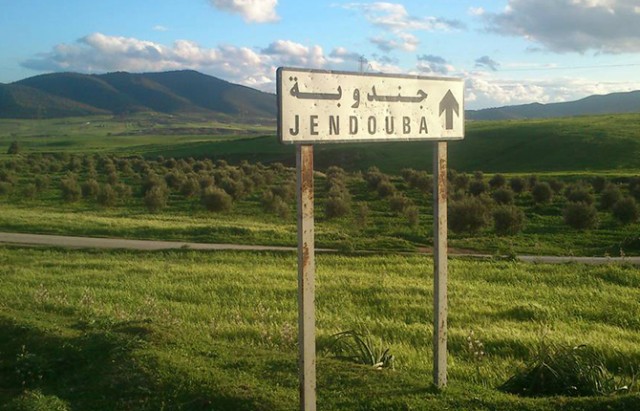 jandouba